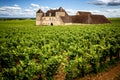 Burgundy, Chateau du Clos de Vougeot and vineyards. France Royalty Free Stock Photo